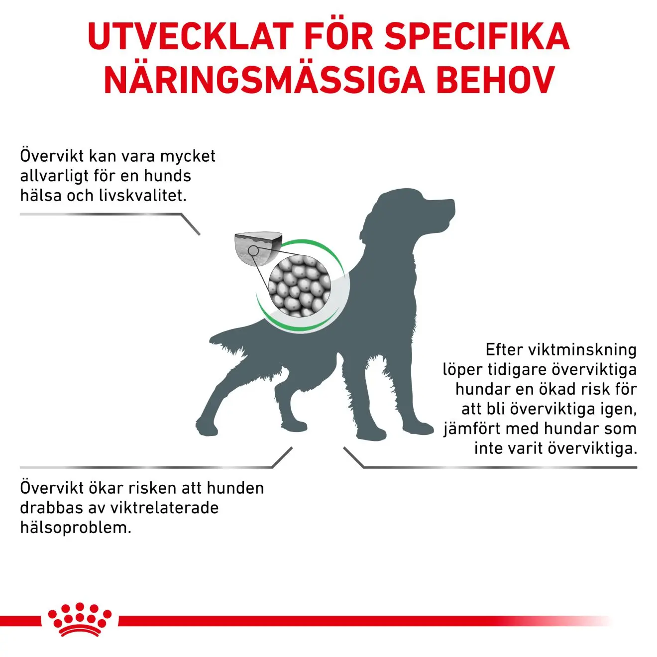 Painonhallinta Satiety Kuivaruoka koirille
