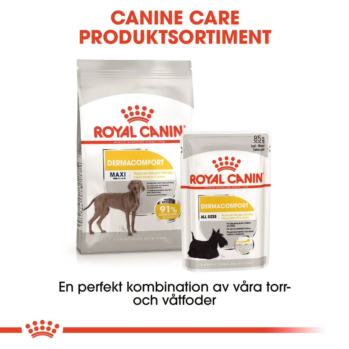 Dermacomfort Adult Maxi kuivaruoka koirille