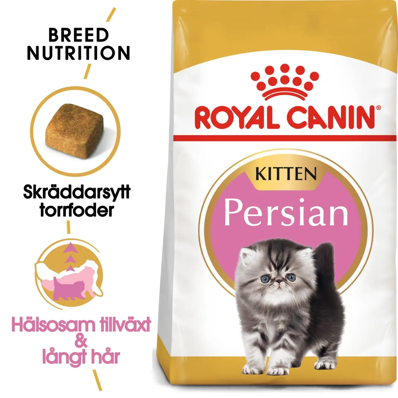 Persian Kitten kissanpennun kuivaruoka