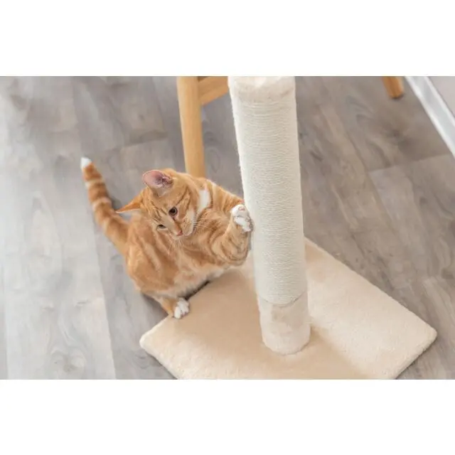 Trixie Batres Klöspelare Beige 62 cm