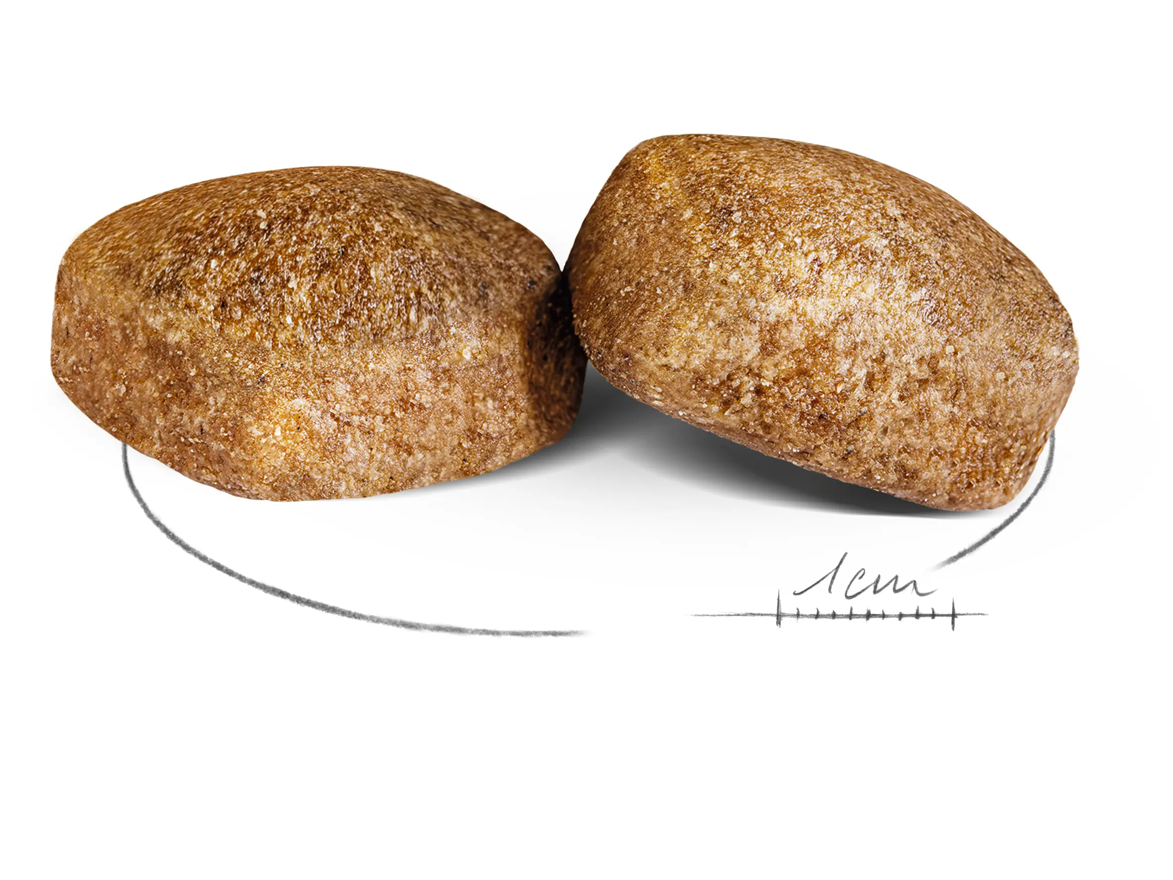 Giant Adult kuivaruoka koirille