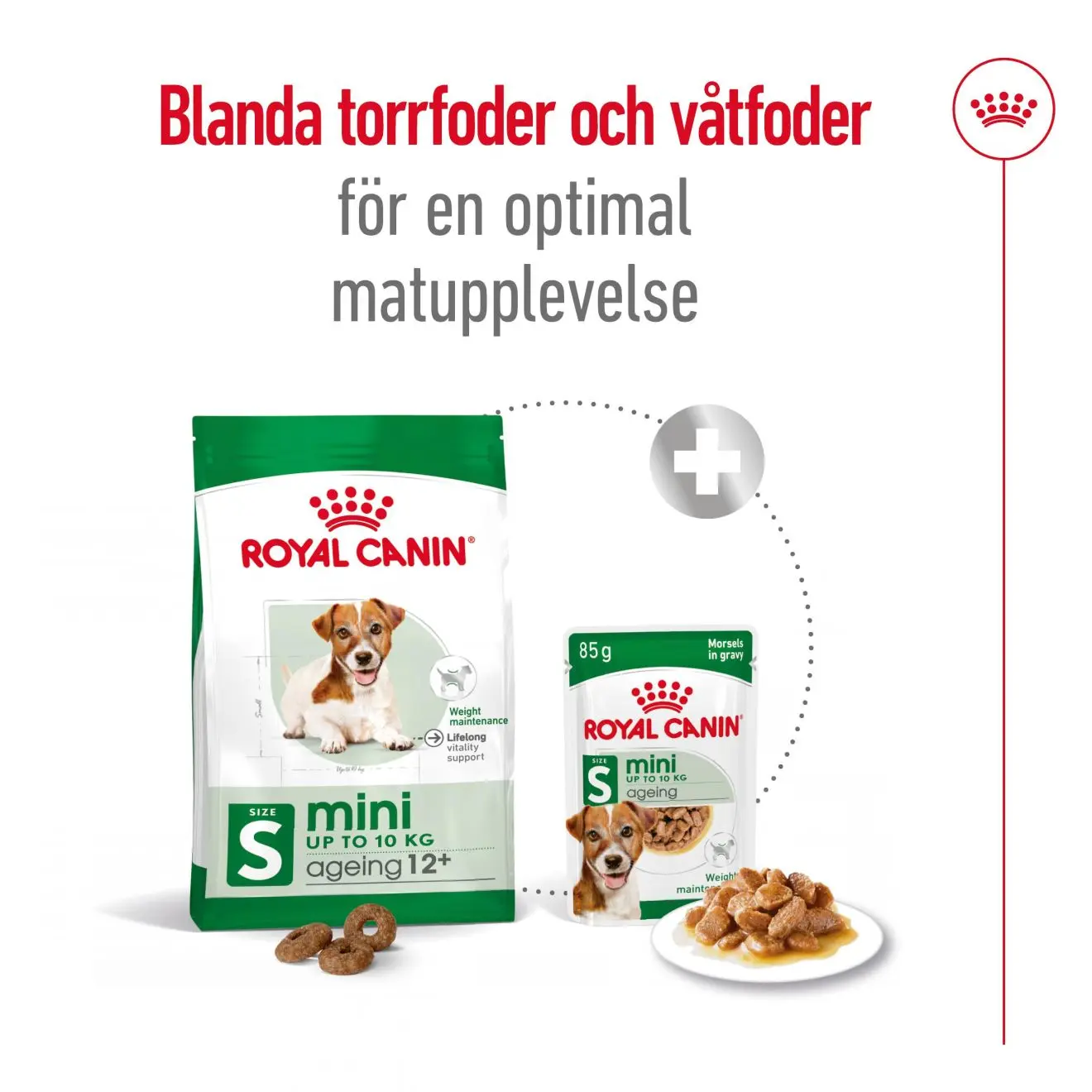 Mini Ageing 12+ Ageing Kuivaruoka koirille