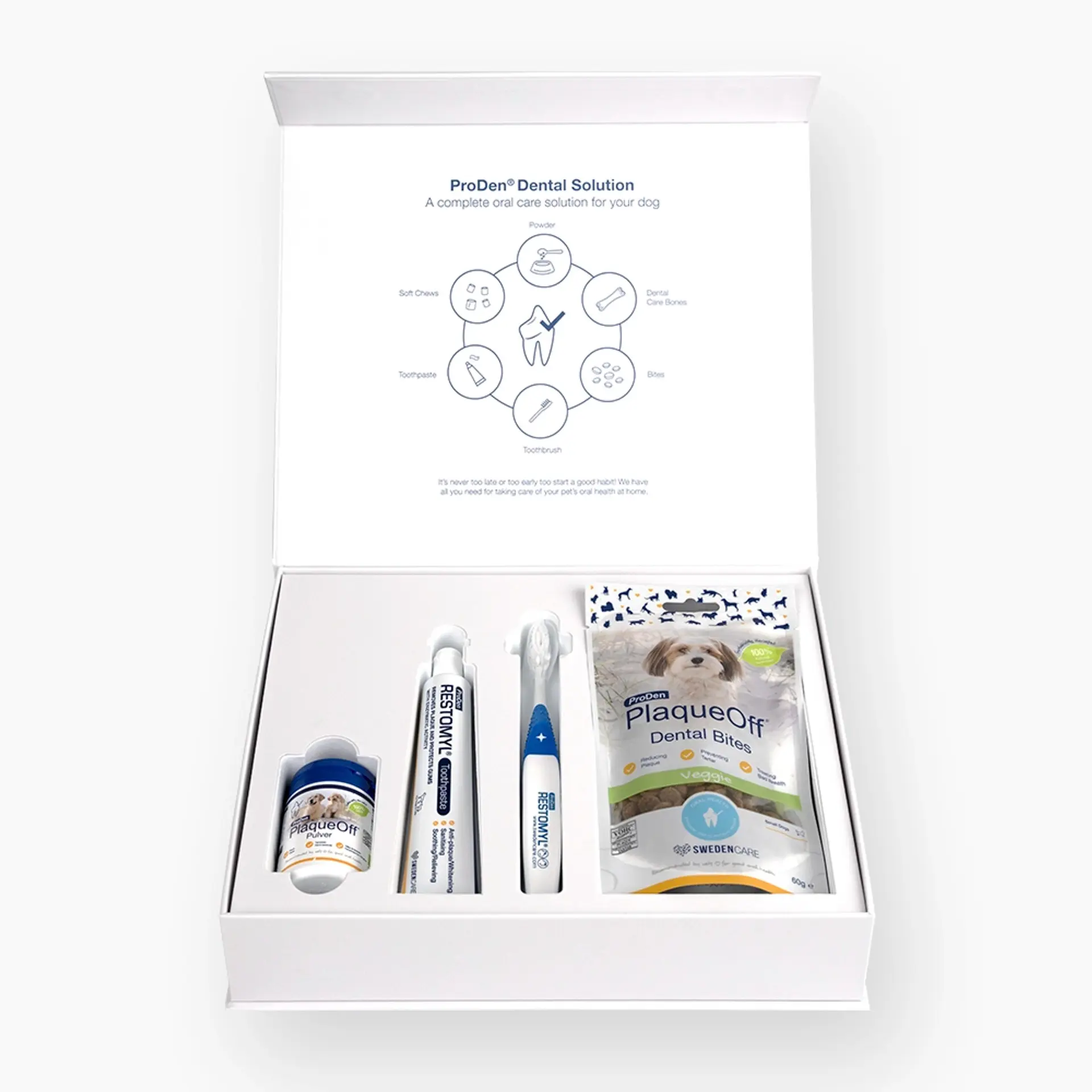 Dental Solution Tandvårdslåda