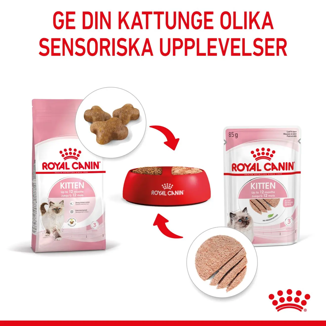 Kitten Loaf kissanpennun märkäruoka