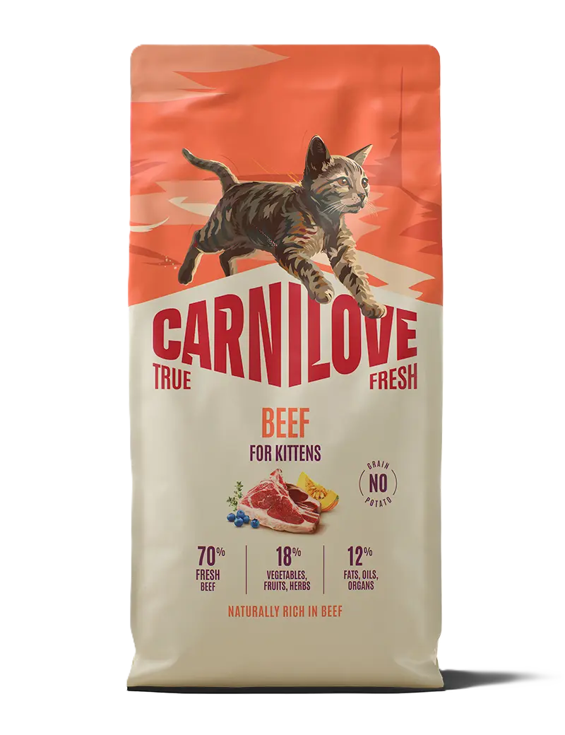 True Fresh Cat Beef for kattunger 6 kg