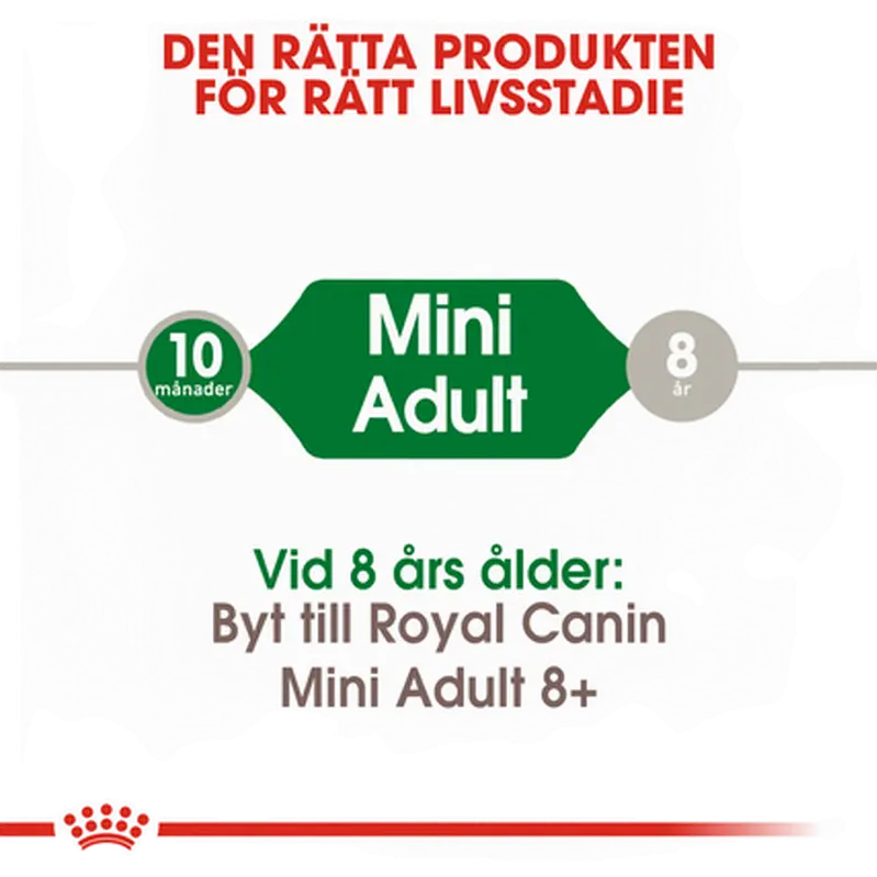 Mini Adult Torrfoder för hund