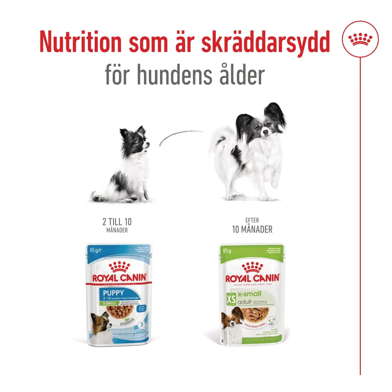 X-Small Adult Gravy Märkäruoka koirille