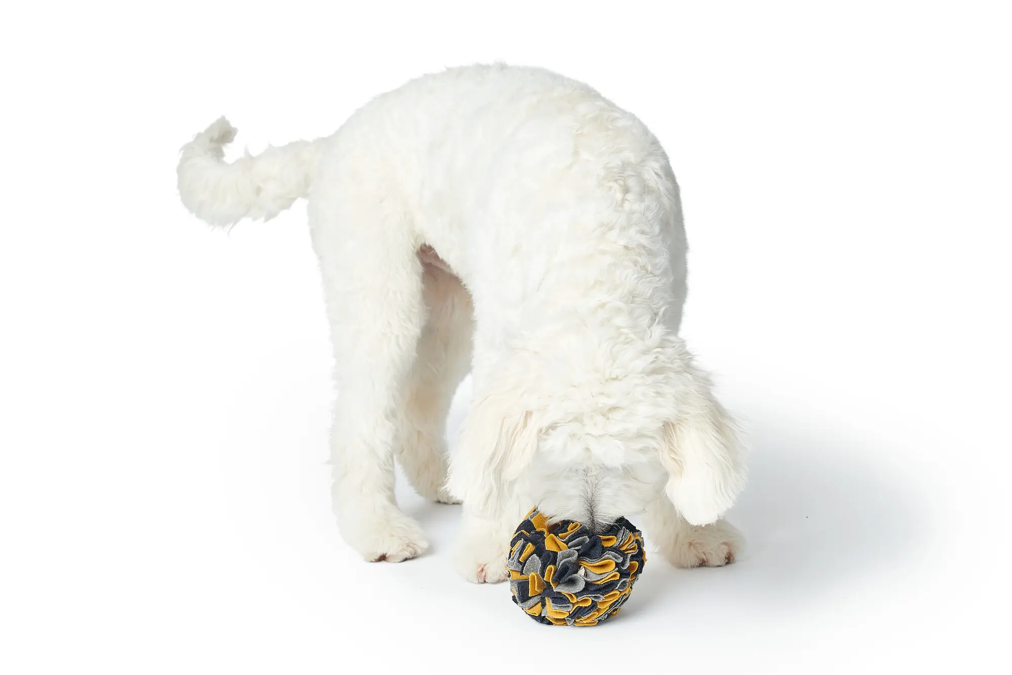 Hundeleketøy Sniffle Ball Eiby Polyester