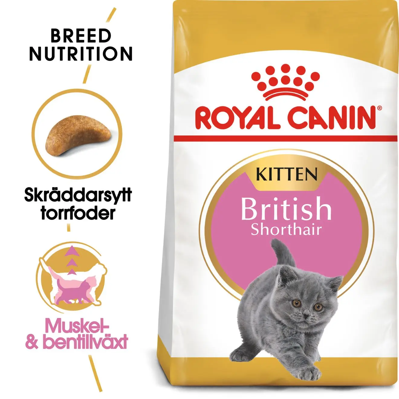 British Shorthair Kitten Torrfoder för kattunge 2 kg