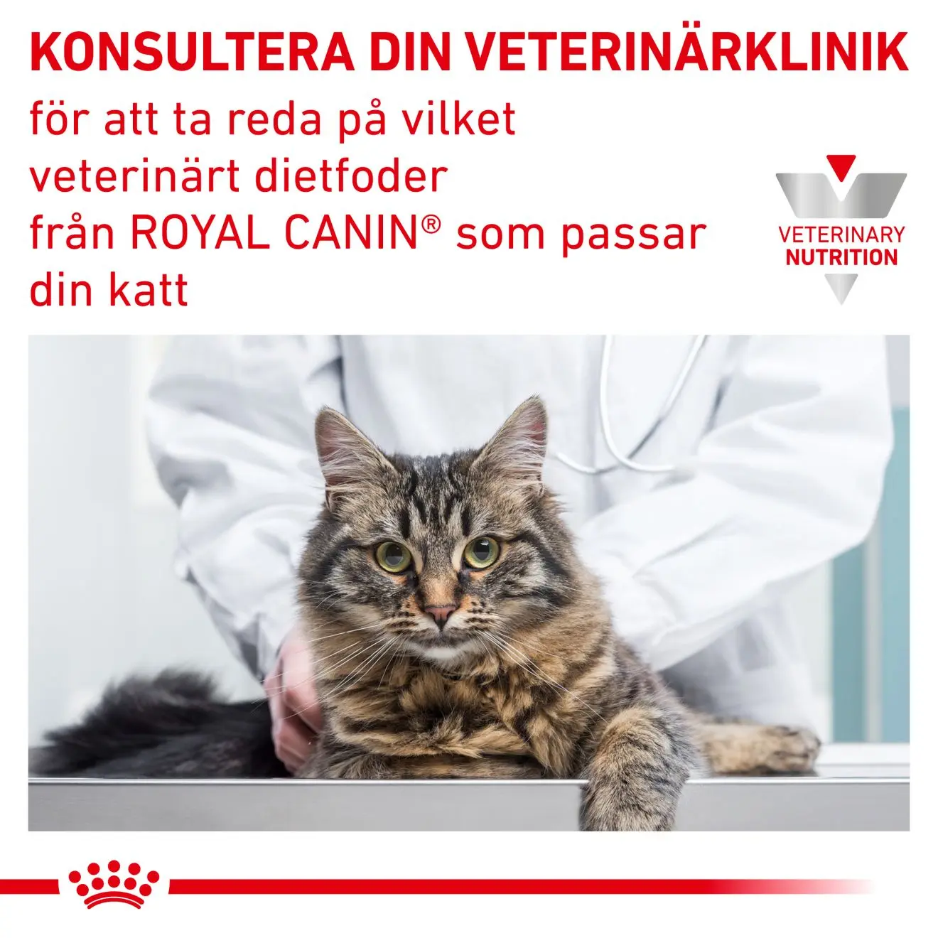 Urinary S/O Torrfoder för katt