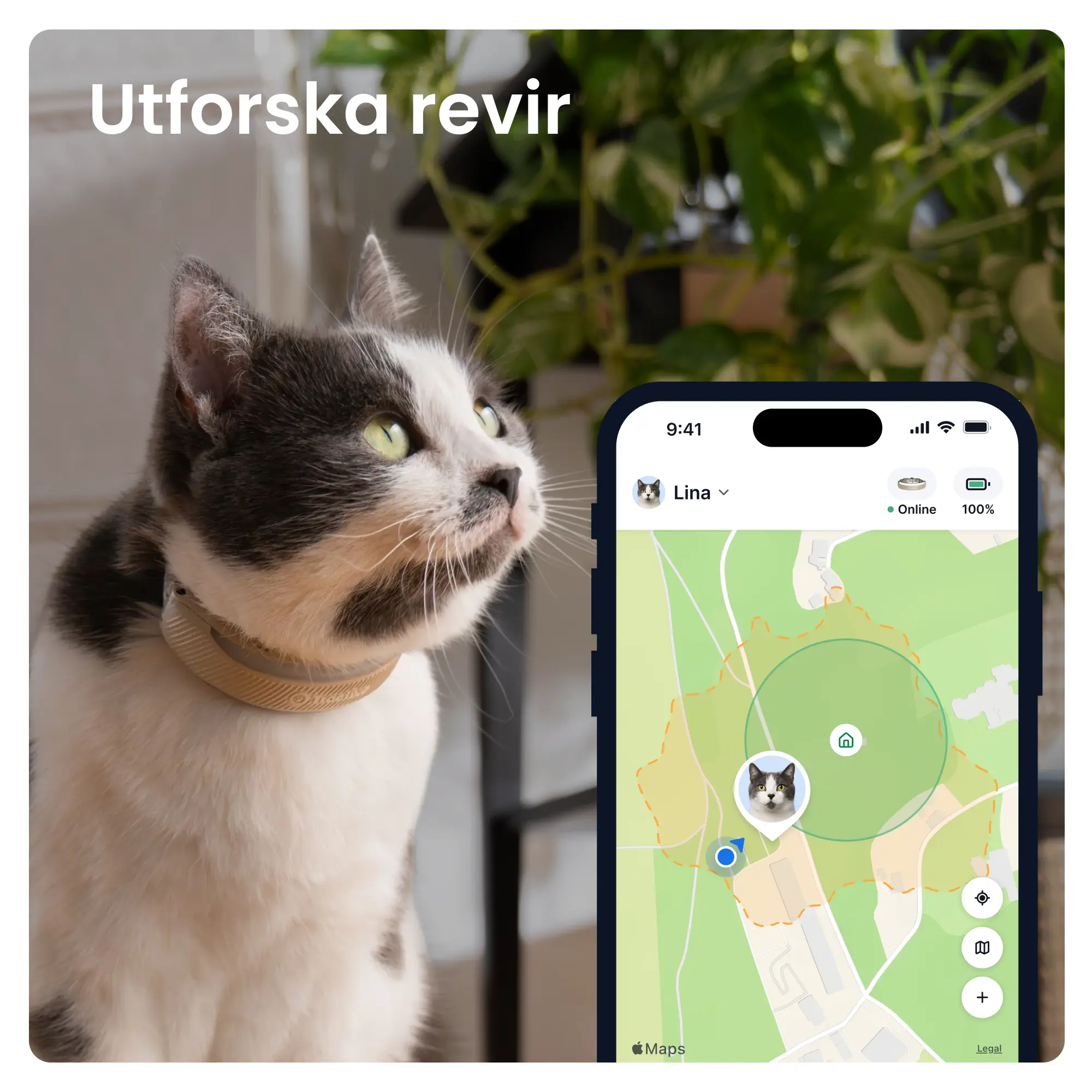 CAT 6 Mini GPS Brun