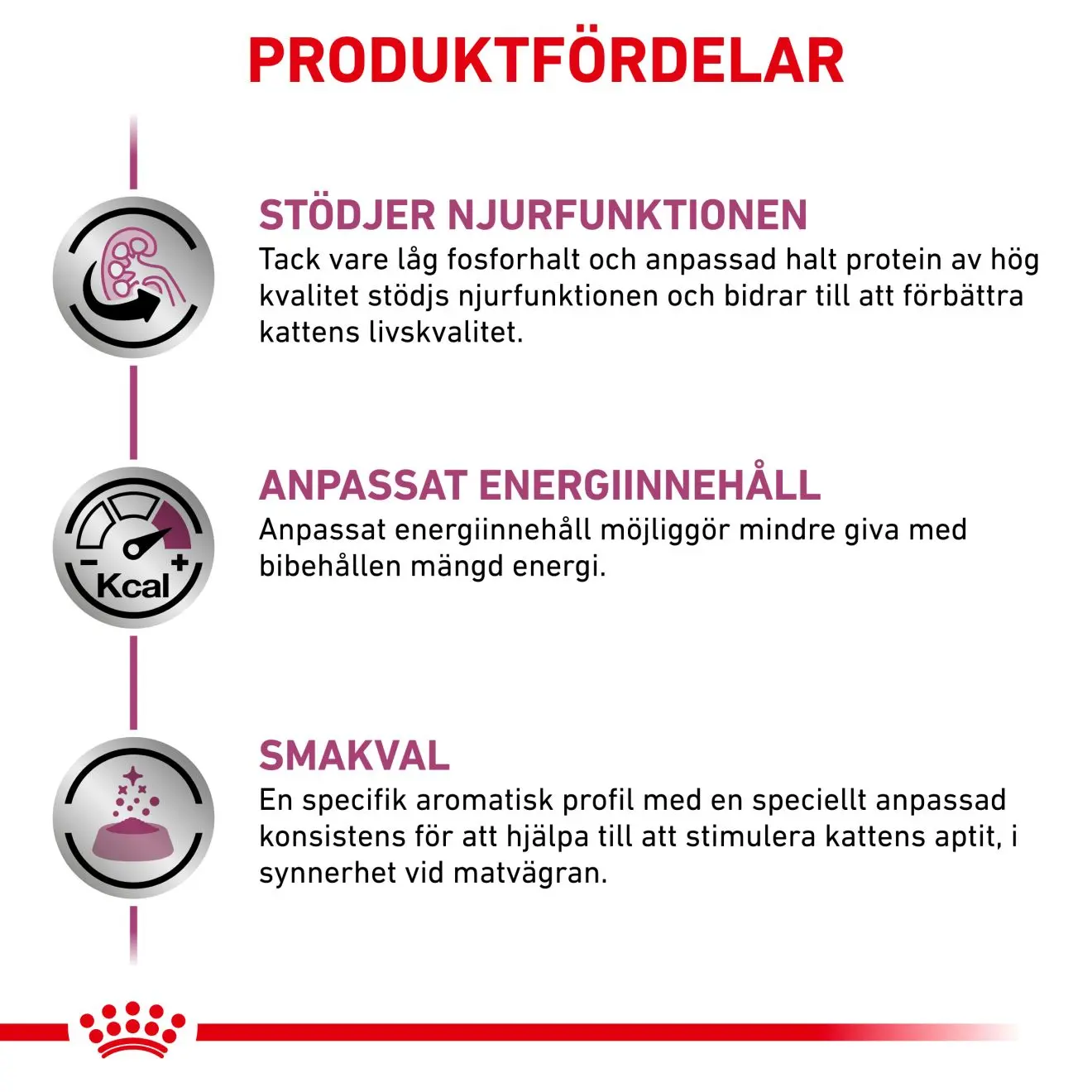 Renal kissan märkäruoka