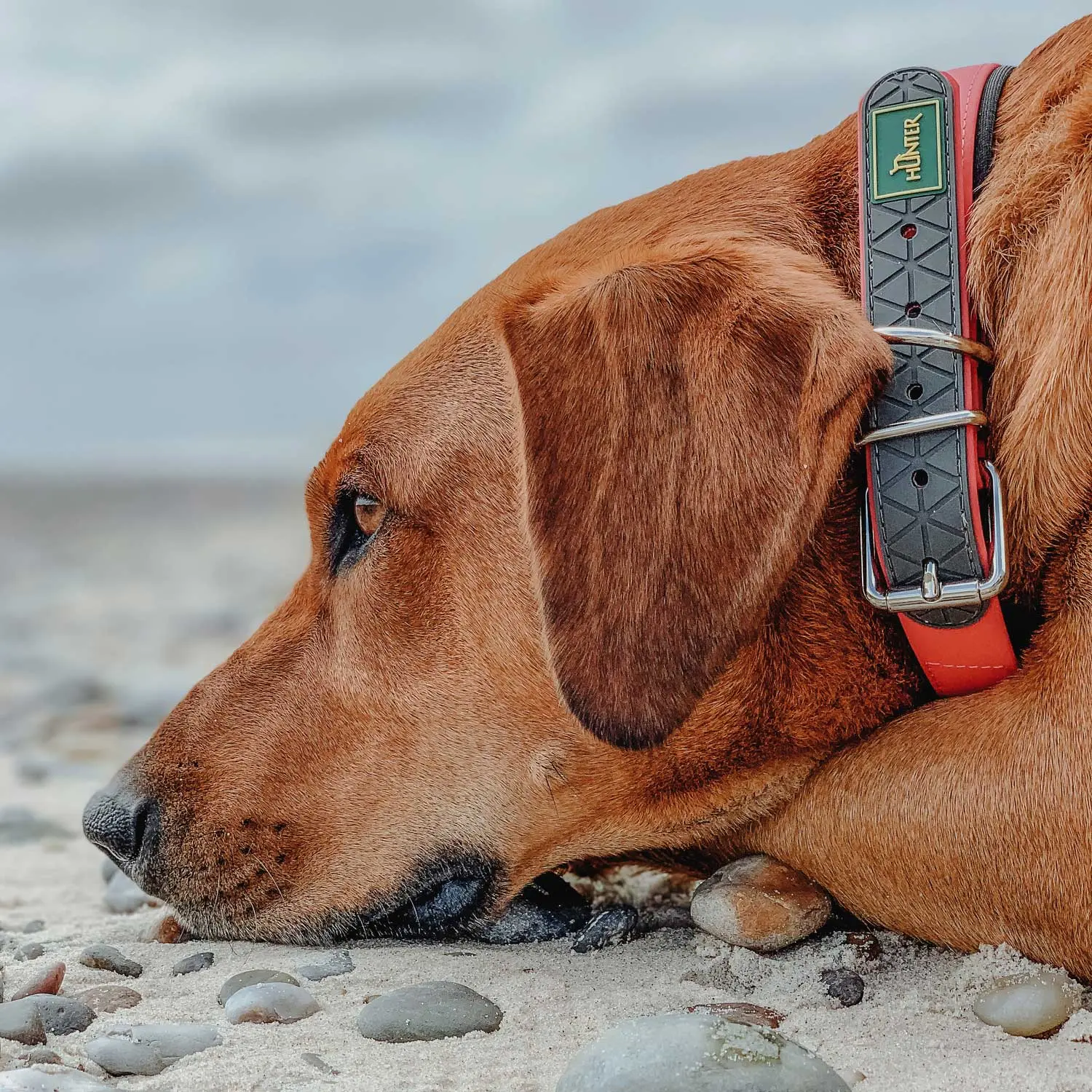Collar Convenience Comf Plastic NeonOrange