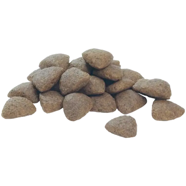 Medium Adult - SENSITIVE DIGESTION Lamm