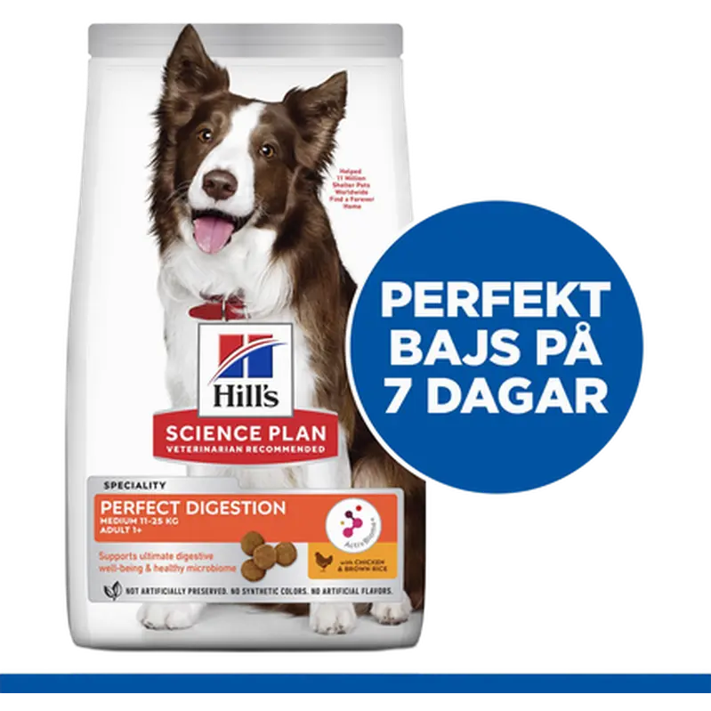 Adult Perfect Digestion Medium Chicken & Rice - Dry Dog Food