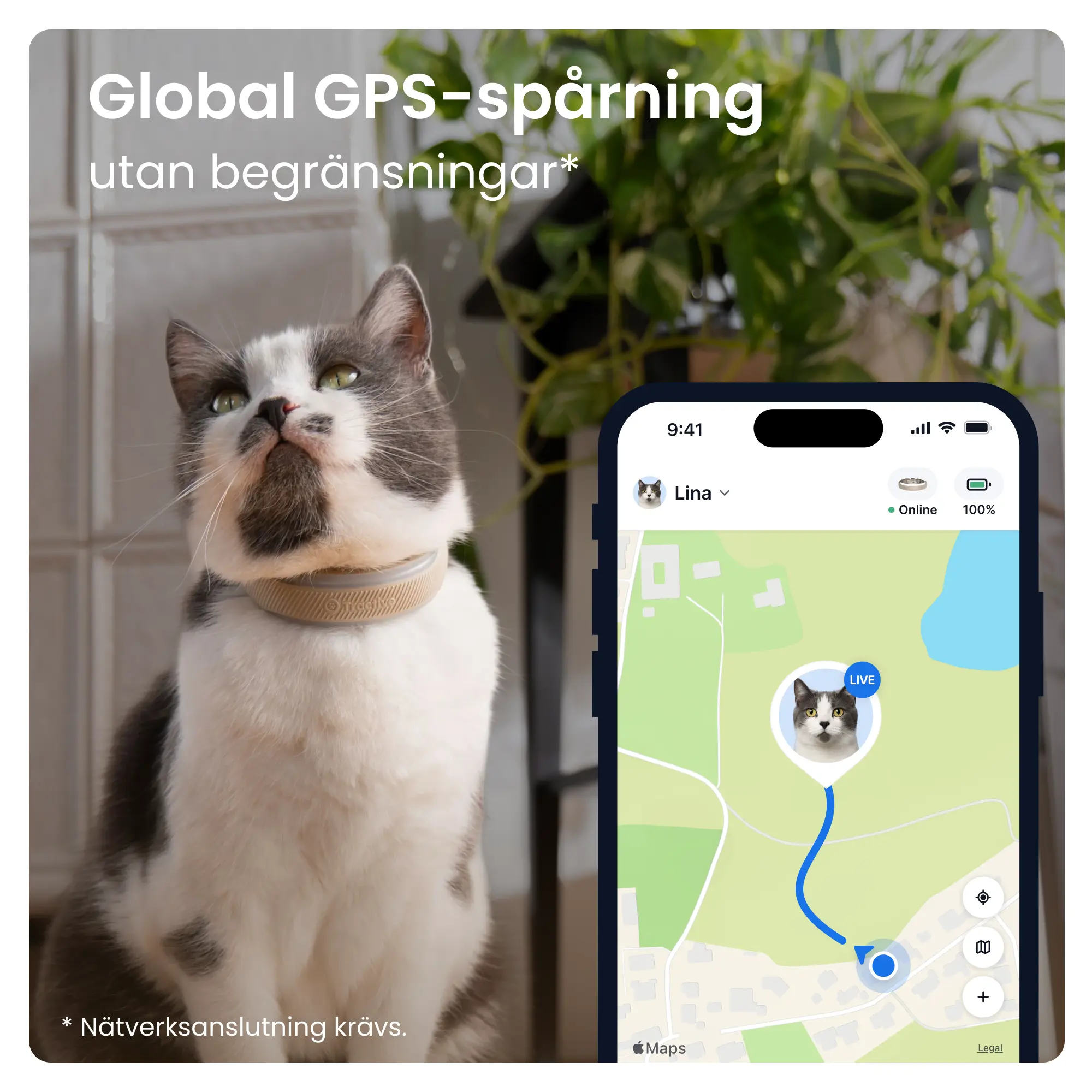 CAT 6 Mini GPS Brun