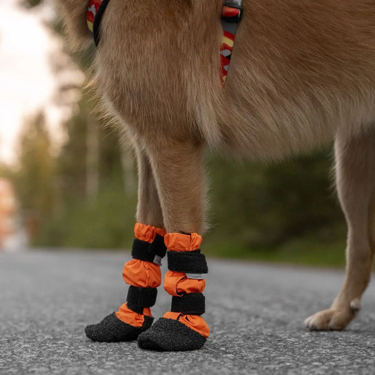 Hundsko Halla Sulo 2-Pack