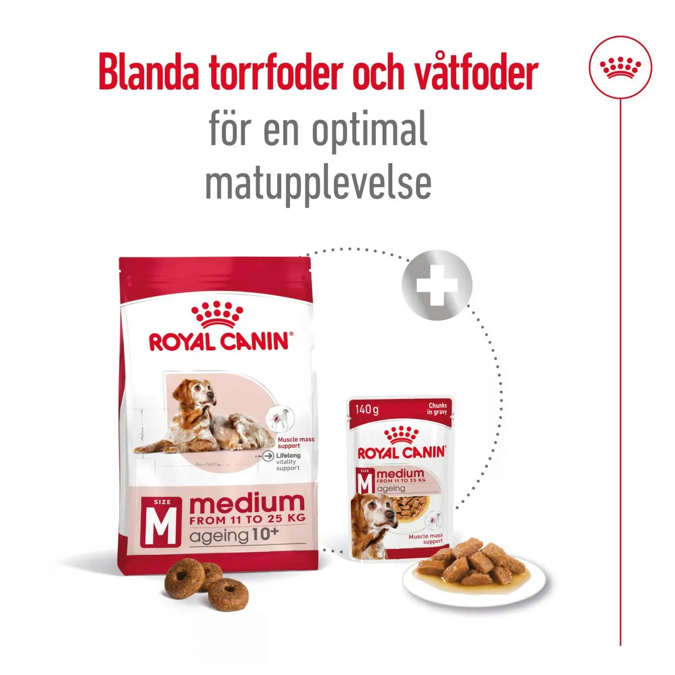 Keski-ikäinen 10+ ikäinen Kuivaruoka koirille