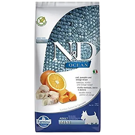 Dog N&D Pumpkin Codfish & Orange Adult Mini 7 kg