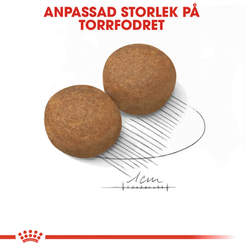 Maxi Adult kuivaruoka aikuisille suurille koirille