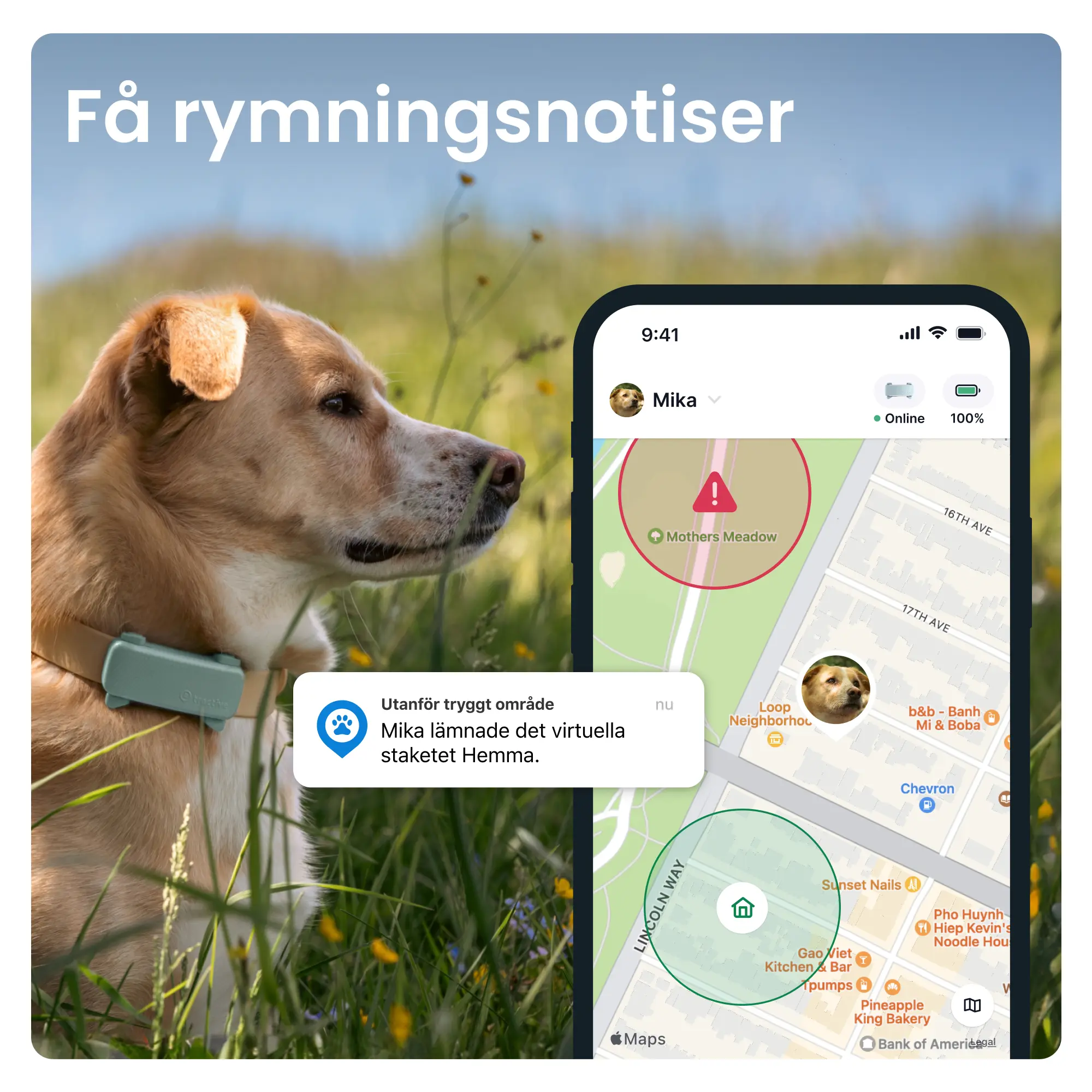 GPS-paikannin koiralle Koira 6 - Minttu