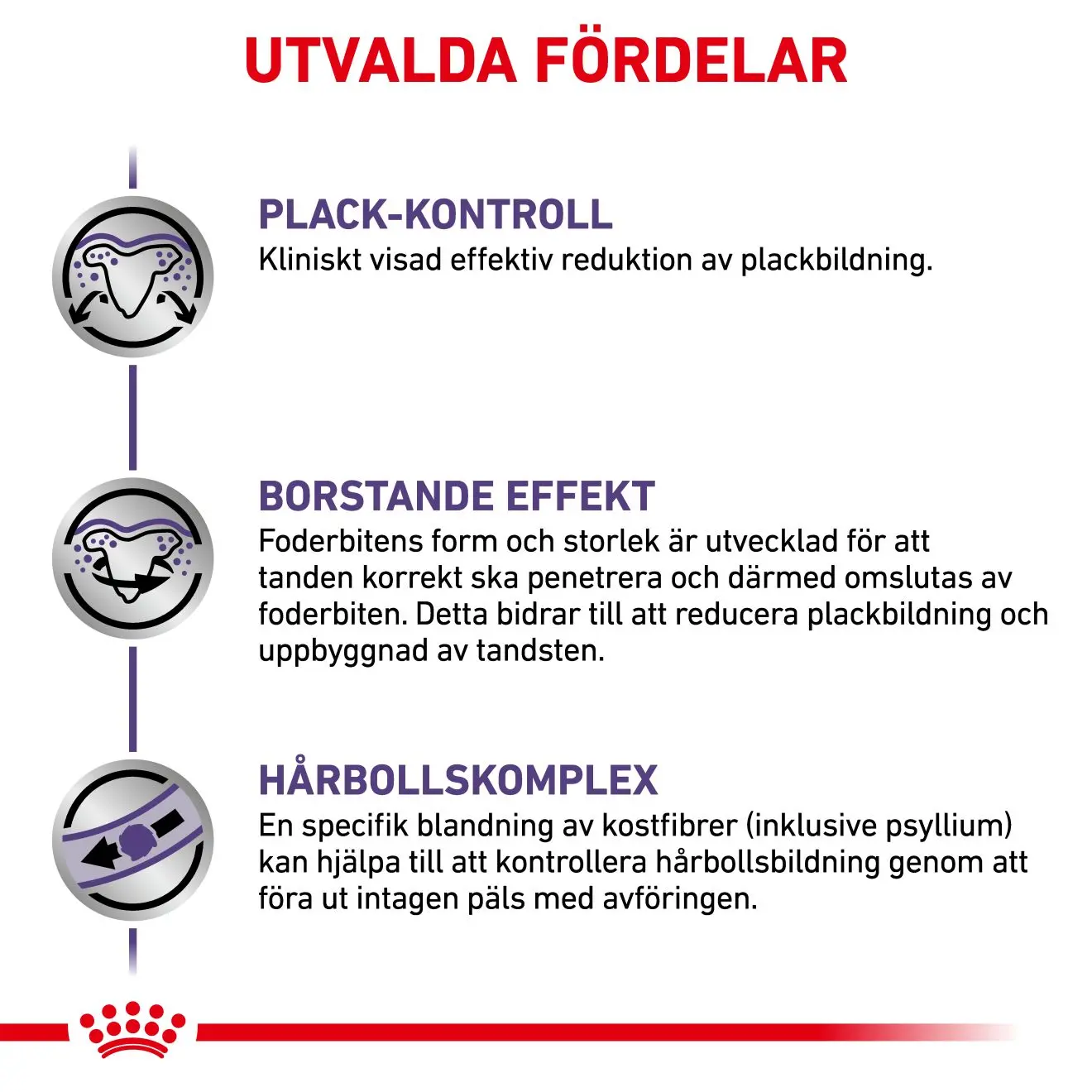 Dental kissan kuivaruoka