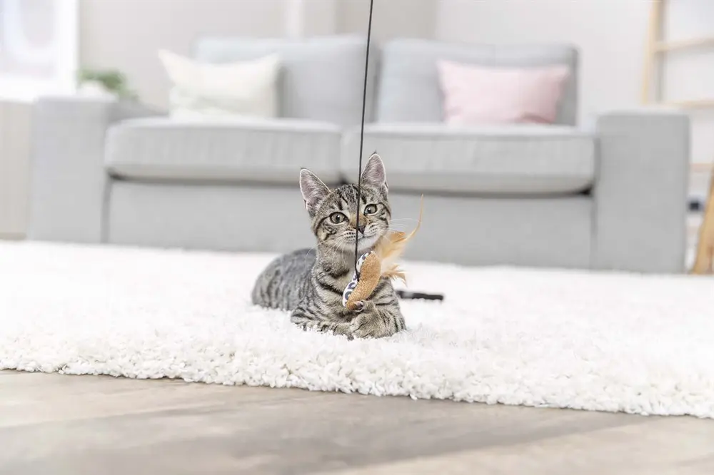 Trixie Vippa Hjärta Katzenspielzeug mit Katzenminze, 50 cm