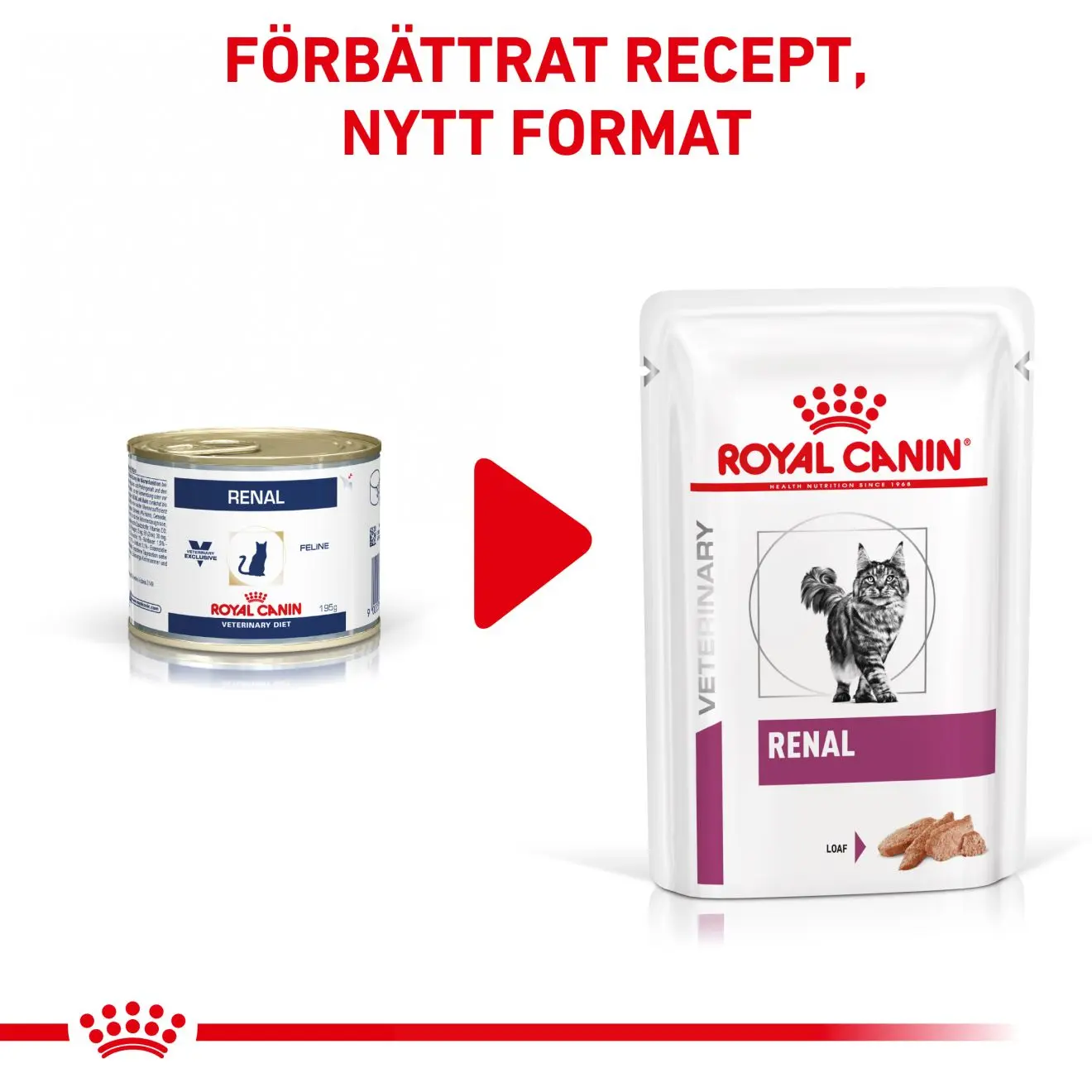 Vital Renal kissan märkäruoka