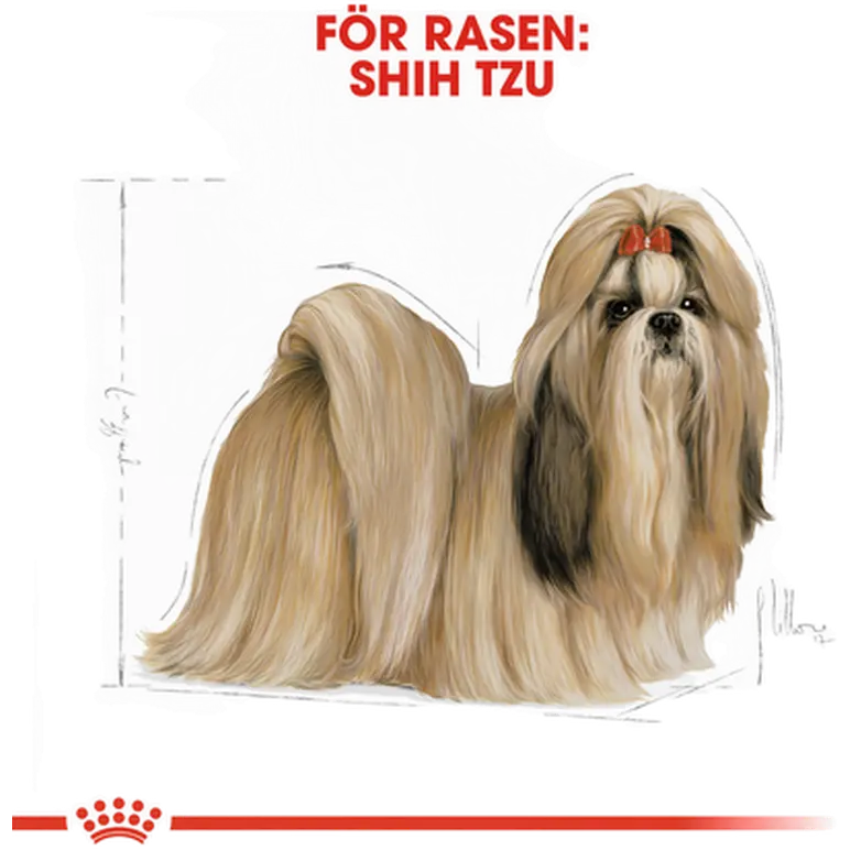 Shih Tzu Adult Kuivaruoka koirille