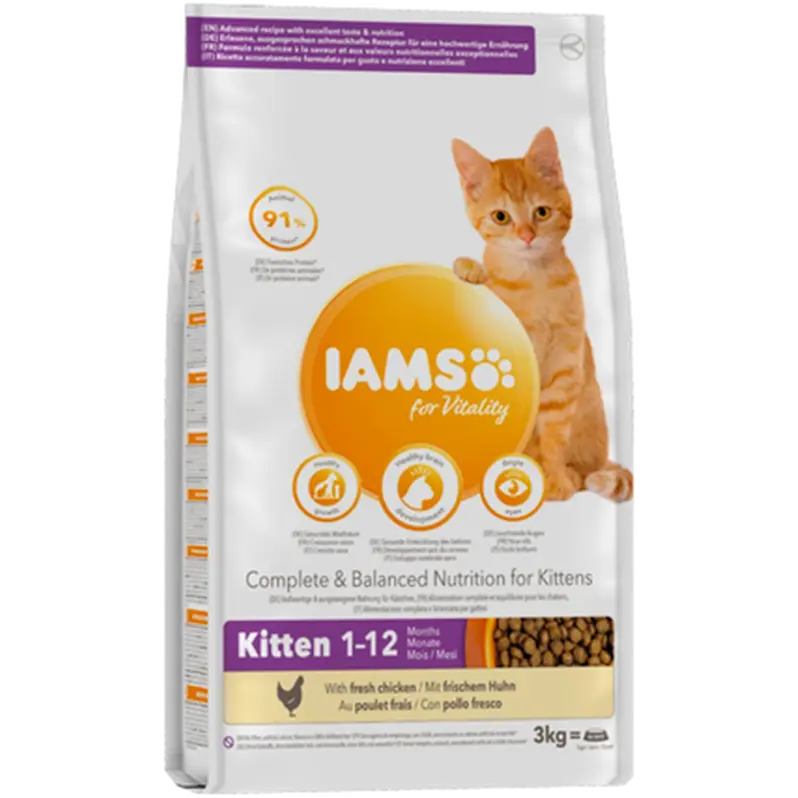 Cat Kitten Chicken - Torrfoder Katt