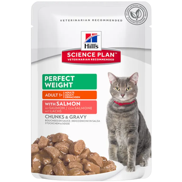 Adult Perfect Weight Chicken Salmon Pouch - Wet Cat Food