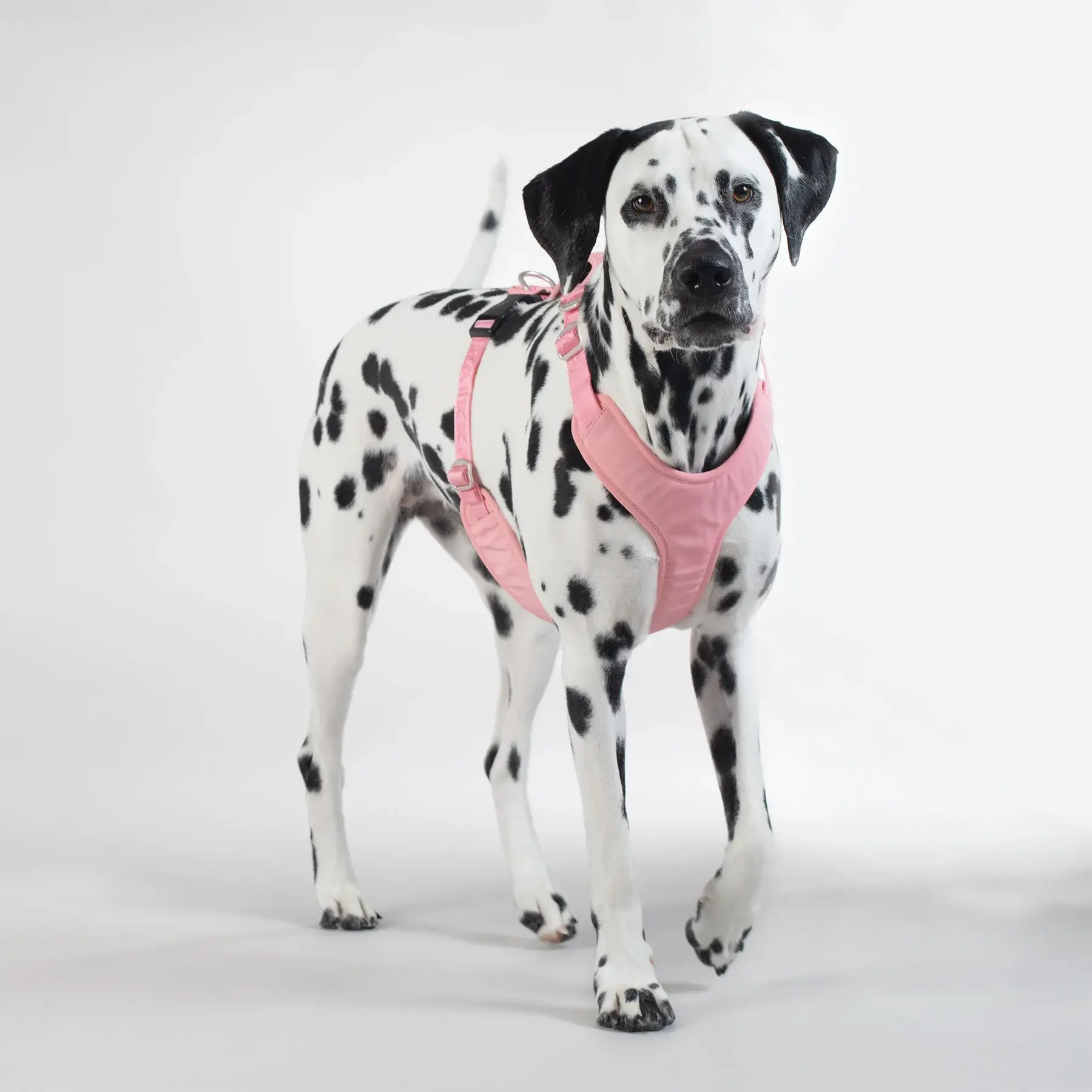 Visibility Harness Pink