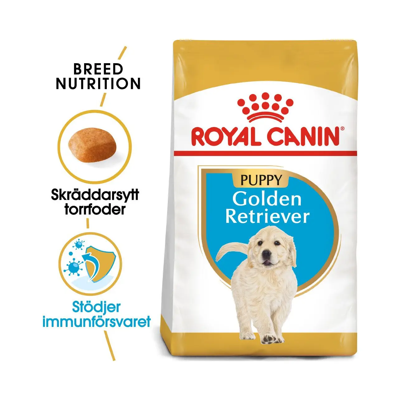 BHN Golden Retriever Puppy 3kg