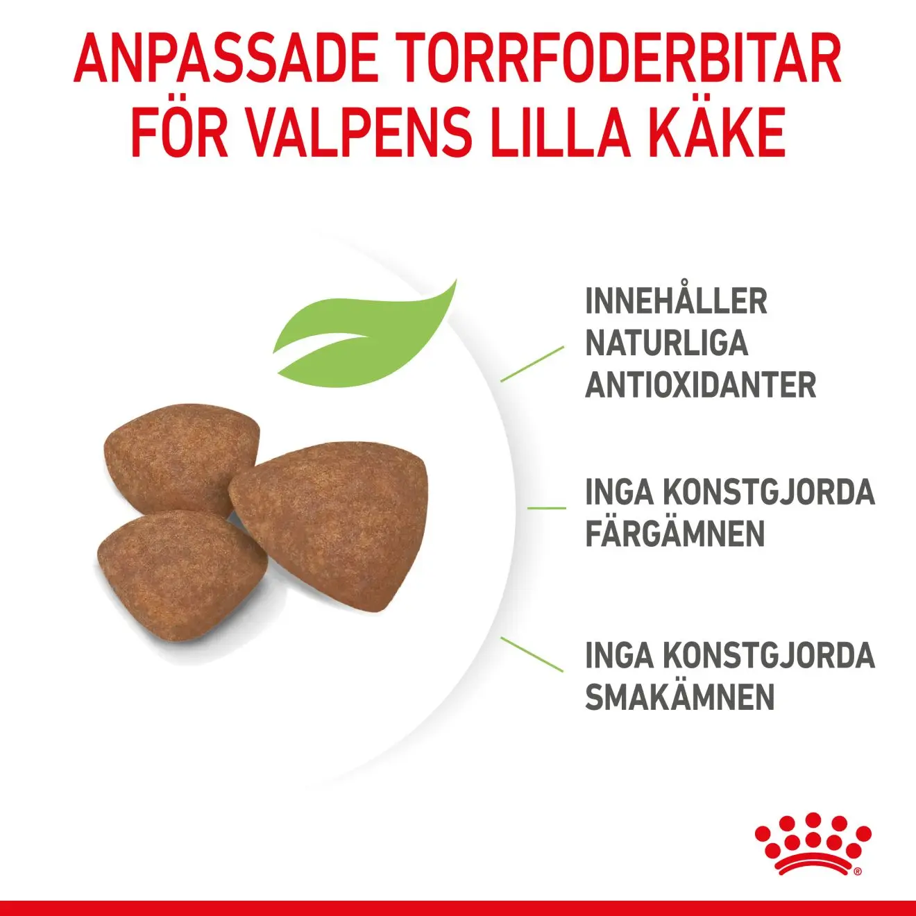 Mini Puppy Torrfoder för hundvalp