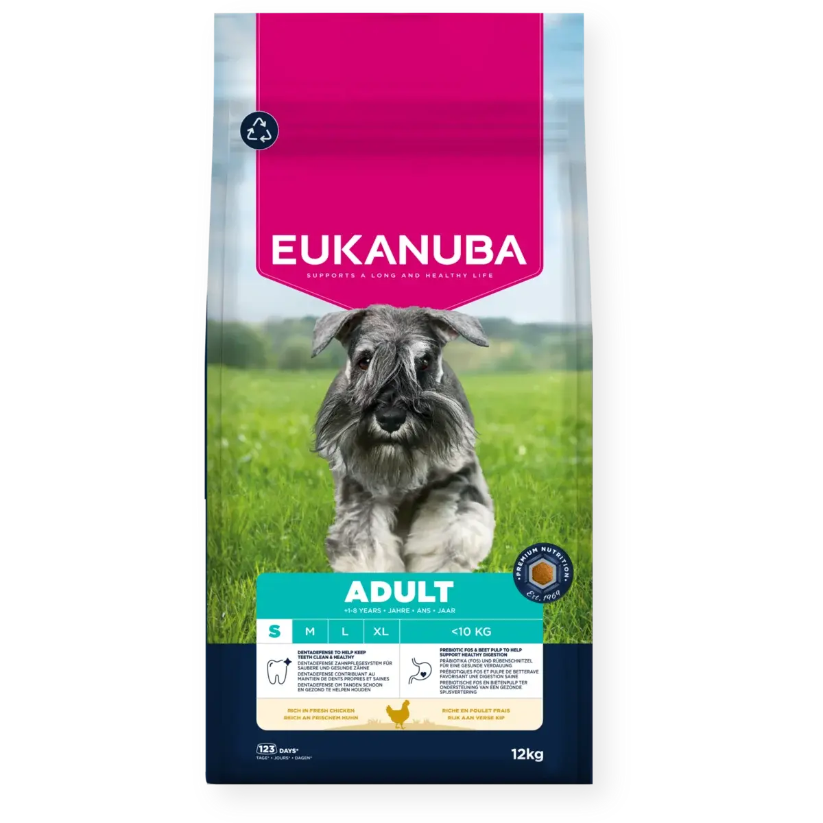 Dog Adult Small