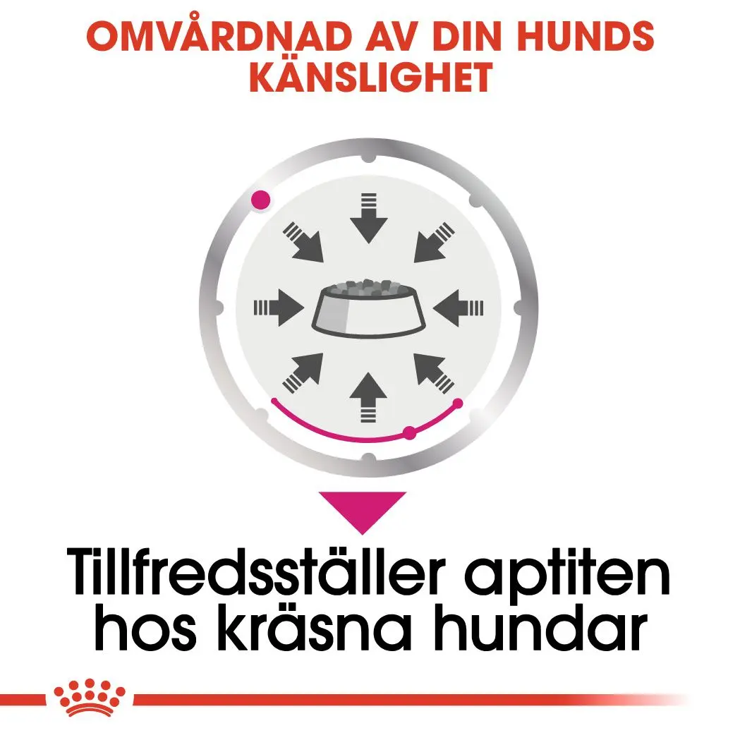 Exigent Adult Märkäruoka koirille