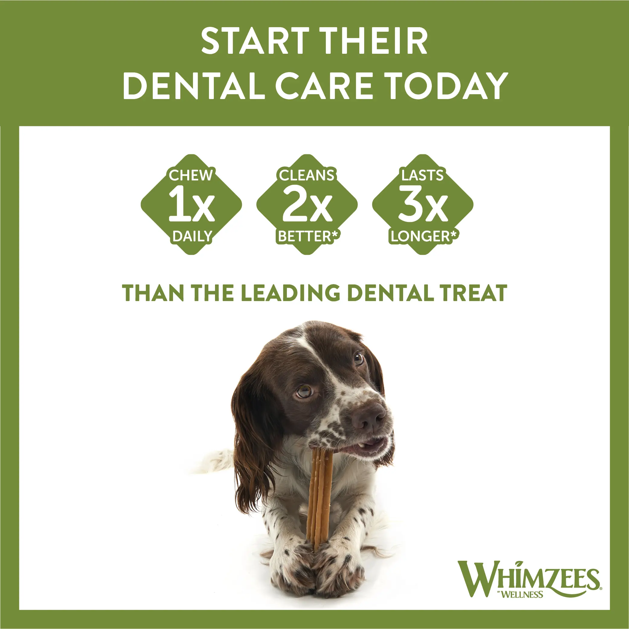 Stix Dental Dog