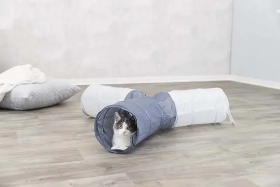 Kattetunnel 4-veis