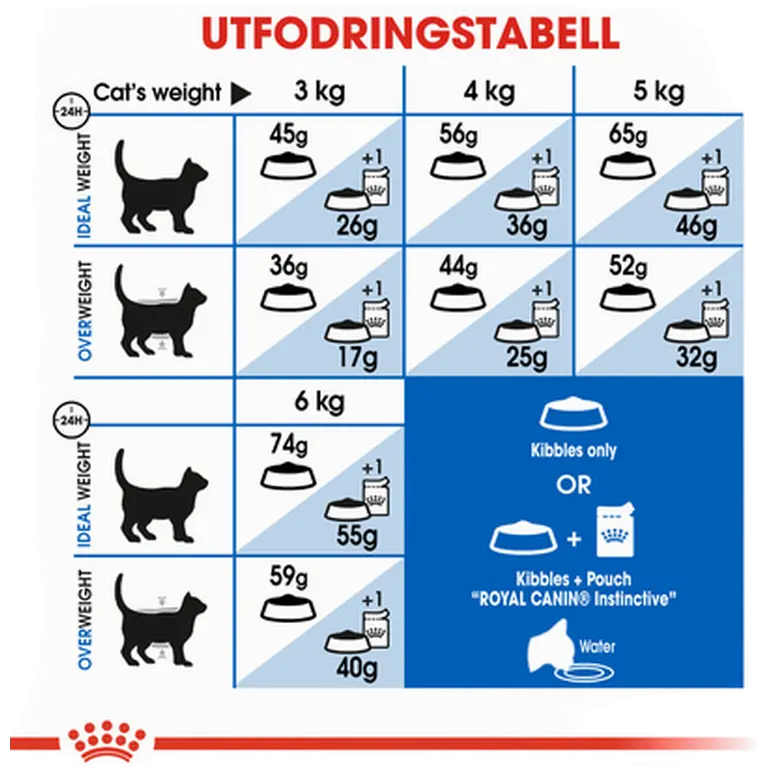 Indoor Adult Cat dry food