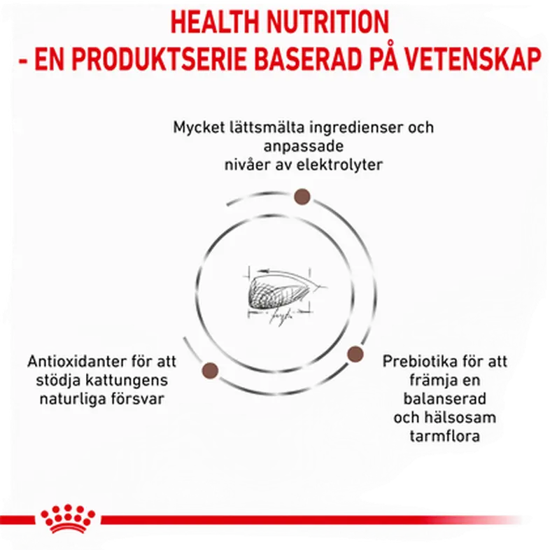 Gastro Intestinal Kitten Mousse Can kissan märkäruoka