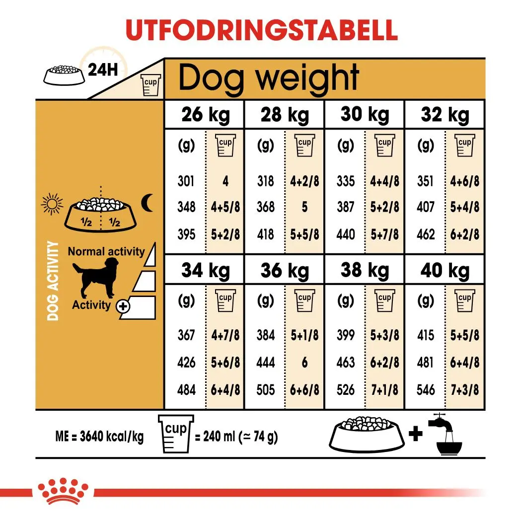 Labradorinnoutaja Aikuisten kuivaruoka koirille
