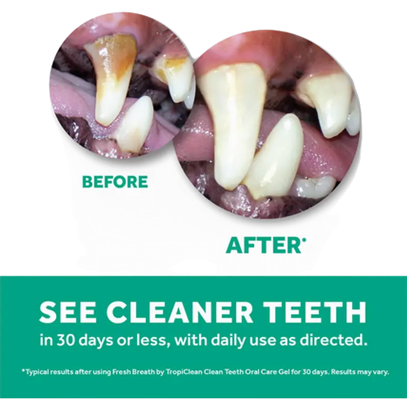 Clean Teath Gel Fresh Breath Hammaspasta