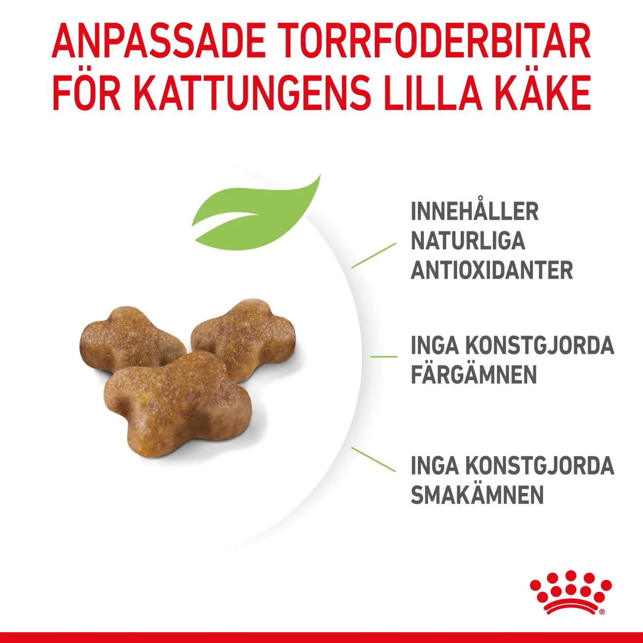 Kitten kissanpennun kuivaruoka