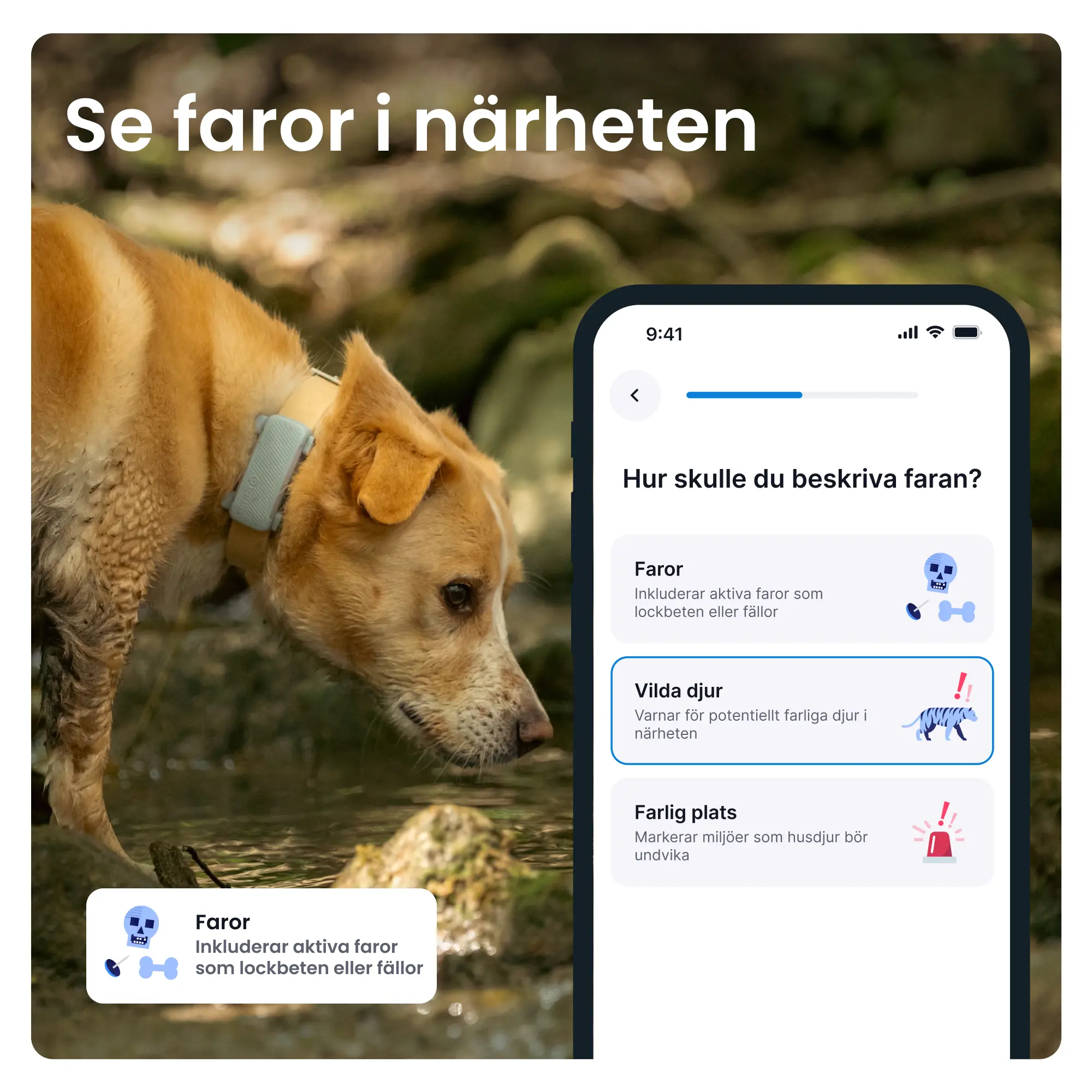 GPS-paikannin koiralle Koira 6 - Minttu