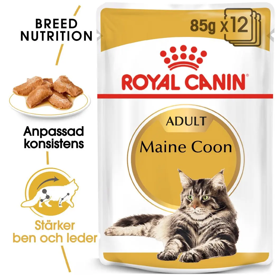 Maine Coon Adult kissan märkäruoka