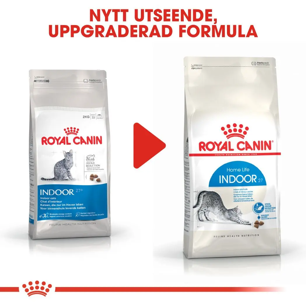 Indoor Adult Cat dry food