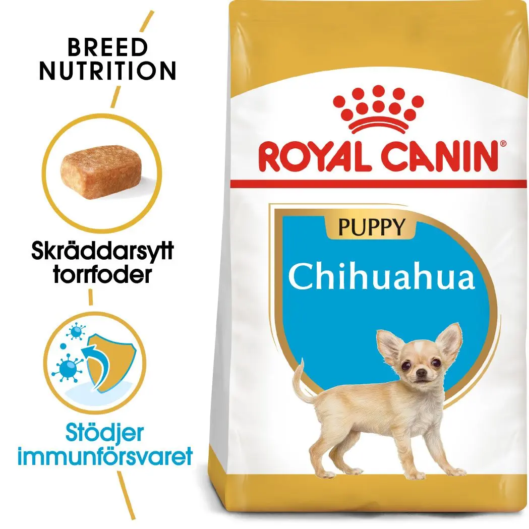 Chihuahua Puppy Kuivaruoka pennuille