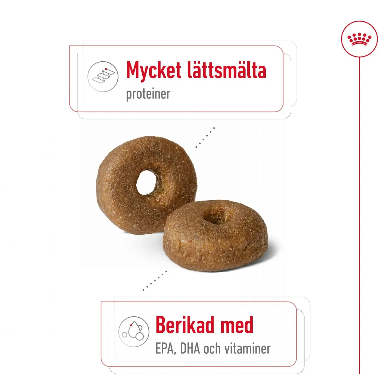 Maxi Ageing 8+ Ageing Kuivaruoka koirille