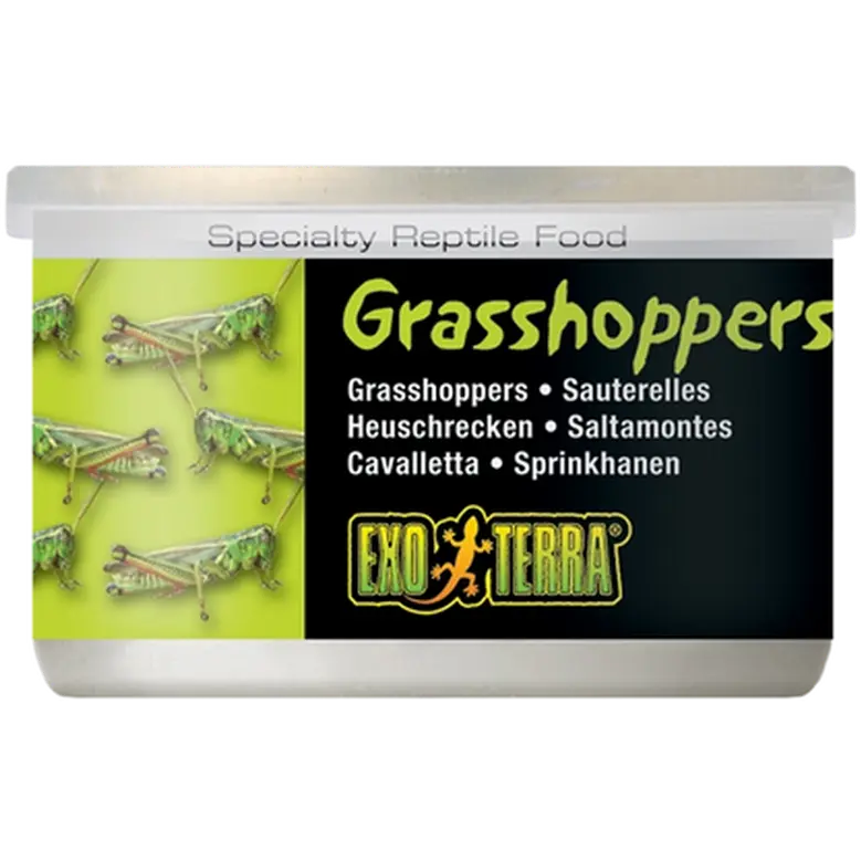 Grasshoppers- Canned Reptile Food