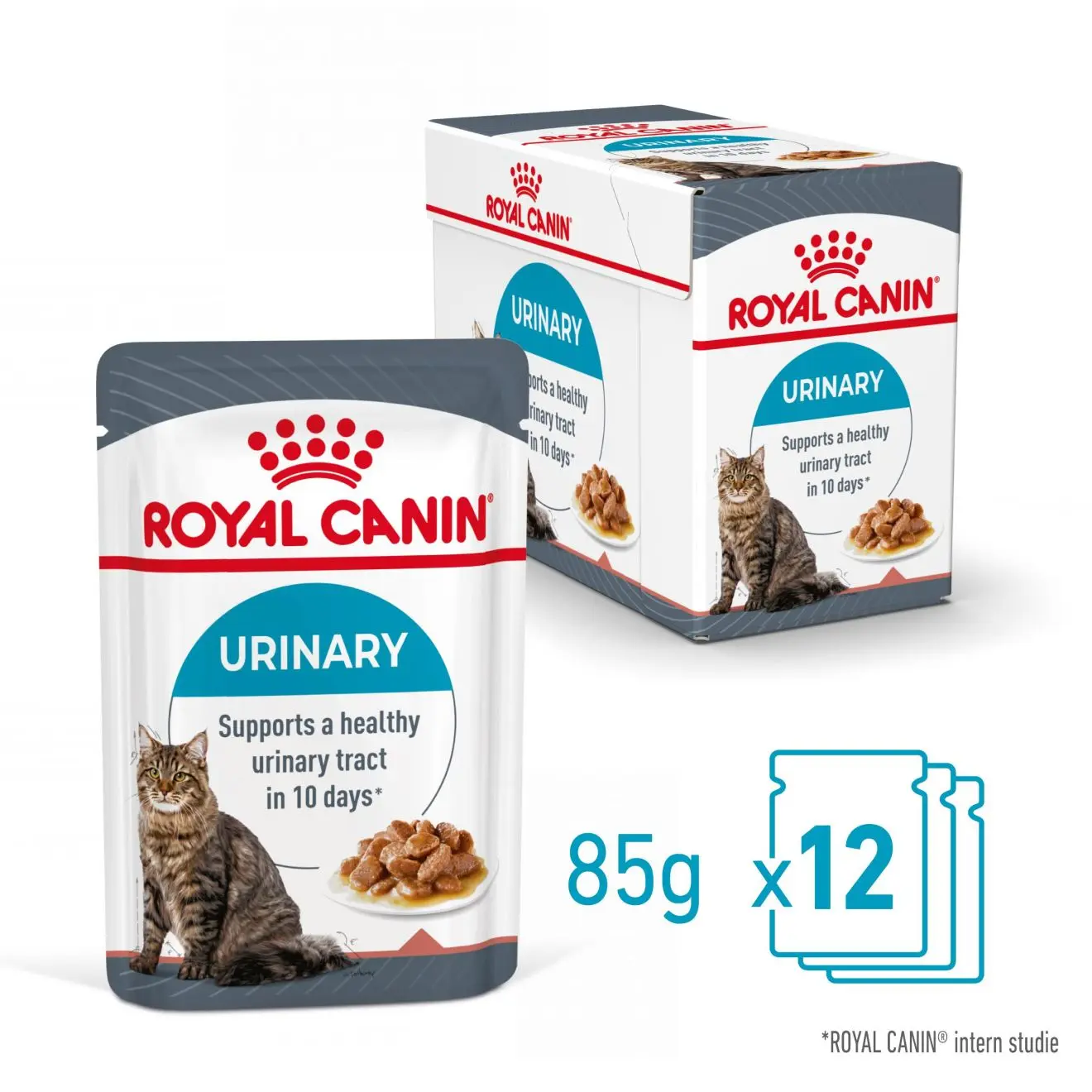 FCN Urinary Care Gravy Adult kissan märkäruoka